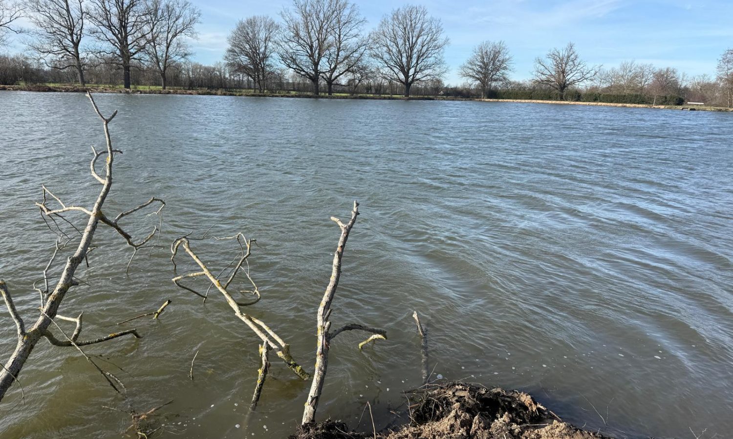 Poste 1 La Digue Les Etangs du Brionnais Pêche à la Carpe Specimen no kill Saône-et-Loire 71 (5)