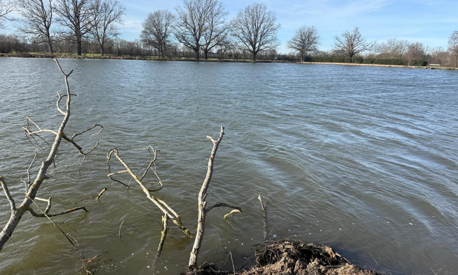Poste 1 La Digue Les Etangs du Brionnais Pêche à la Carpe Specimen no kill Saône-et-Loire 71 (5)
