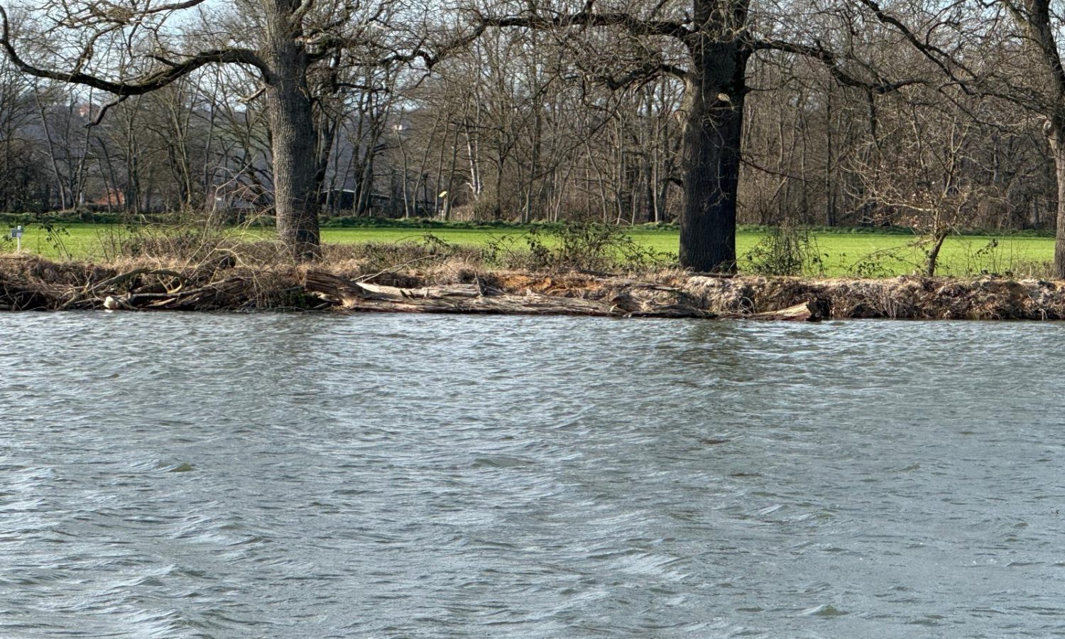 Poste 1 La Digue Les Etangs du Brionnais Pêche à la Carpe Specimen no kill Saône-et-Loire 71 (6)