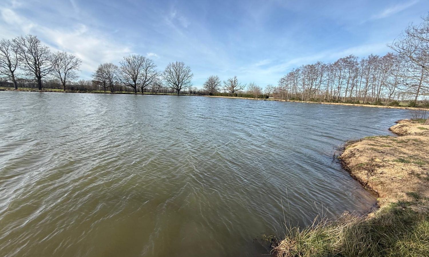 Poste 1 La Digue Les Etangs du Brionnais Pêche à la Carpe Specimen no kill Saône-et-Loire 71 (7)