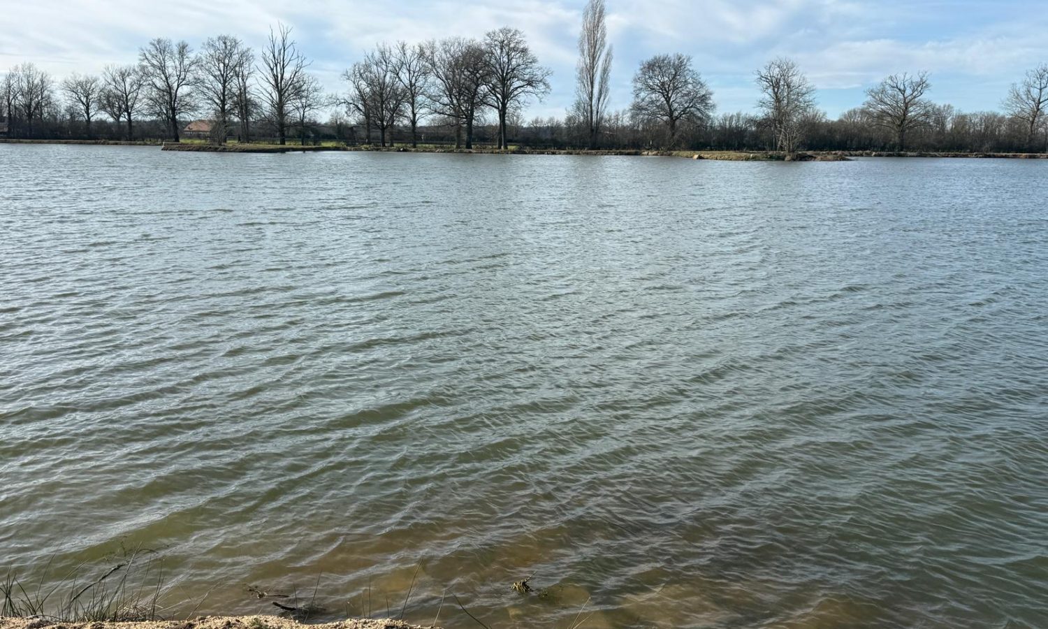 Poste 3 Les Presque'îles Les Etangs du Brionnais Pêche à la Carpe Specimen no kill Saône-et-Loire 71 (1)