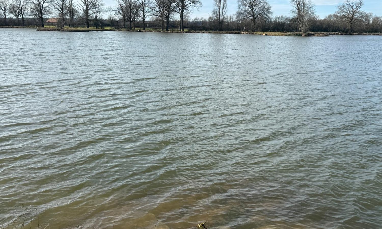 Poste 3 Les Presque'îles Les Etangs du Brionnais Pêche à la Carpe Specimen no kill Saône-et-Loire 71 (3)