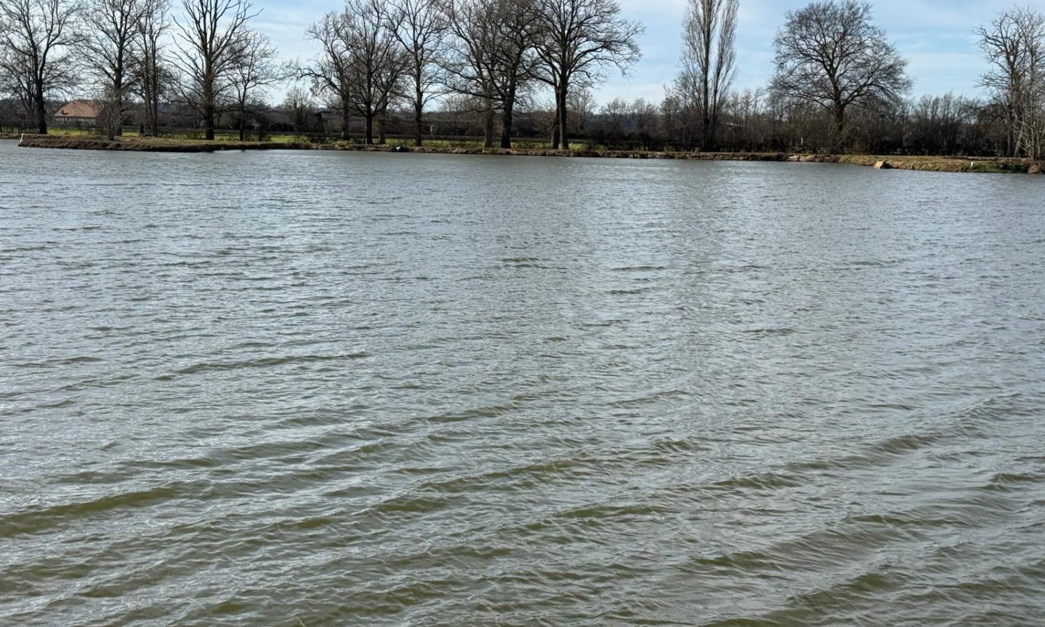 Poste 3 Les Presque'îles Les Etangs du Brionnais Pêche à la Carpe Specimen no kill Saône-et-Loire 71 (4)