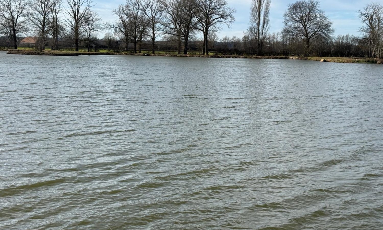 Poste 3 Les Presque'îles Les Etangs du Brionnais Pêche à la Carpe Specimen no kill Saône-et-Loire 71 (4)
