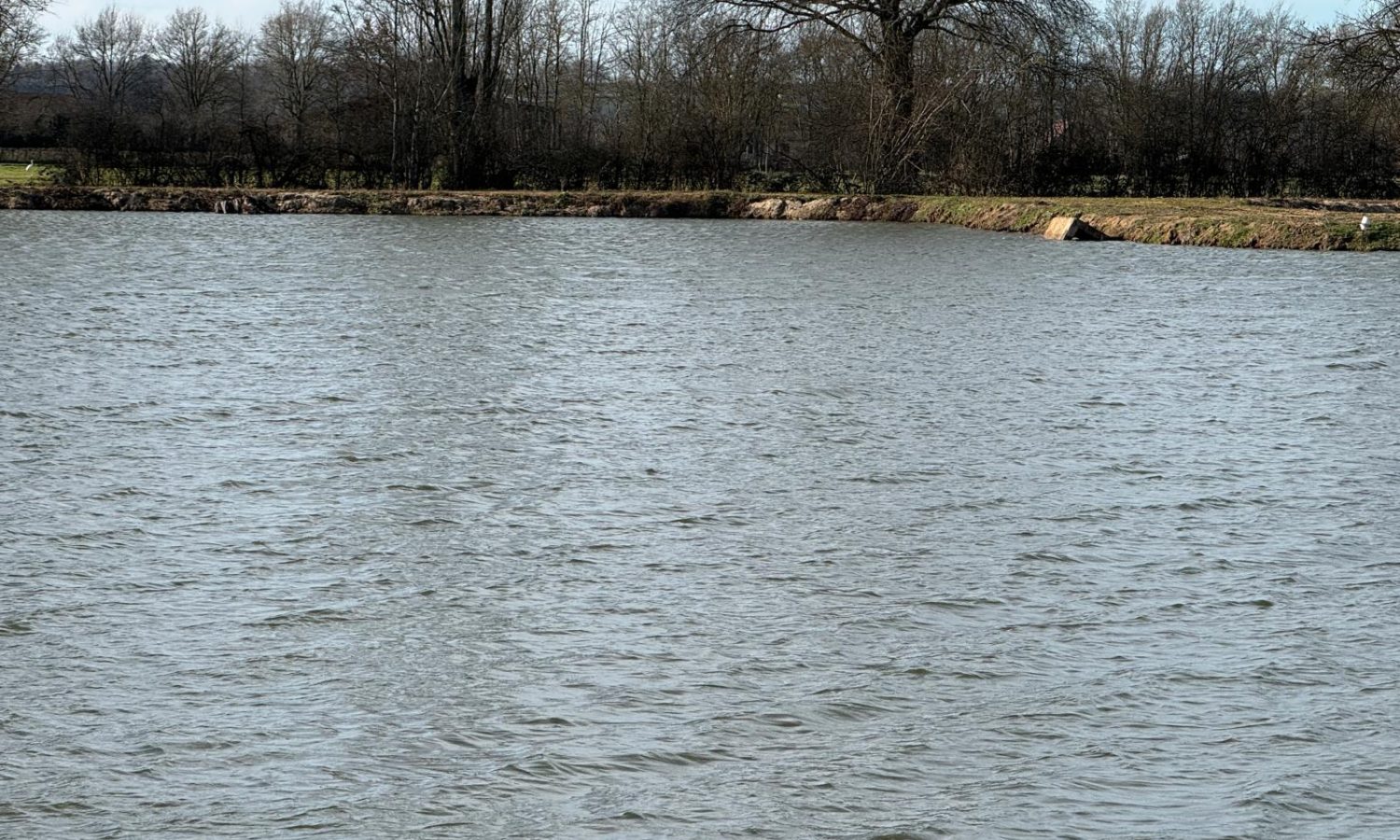 Poste 3 Les Presque'îles Les Etangs du Brionnais Pêche à la Carpe Specimen no kill Saône-et-Loire 71 (5)