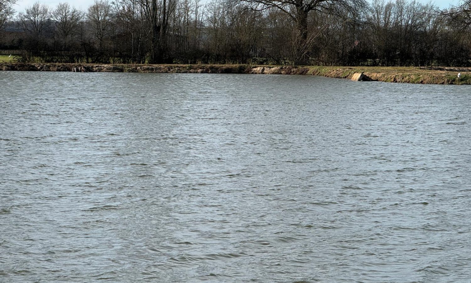 Poste 3 Les Presque'îles Les Etangs du Brionnais Pêche à la Carpe Specimen no kill Saône-et-Loire 71 (5)