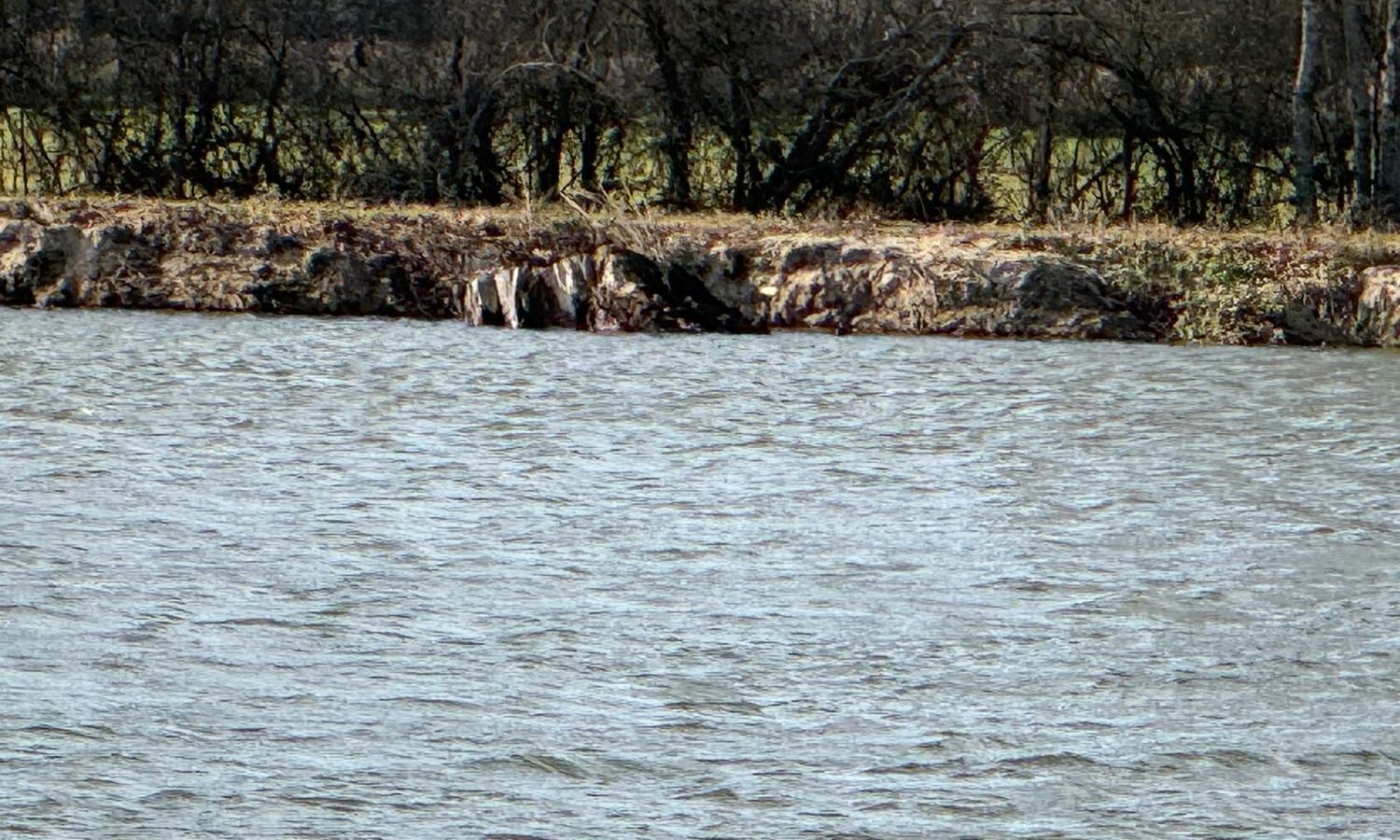 Poste 3 Les Presque'îles Les Etangs du Brionnais Pêche à la Carpe Specimen no kill Saône-et-Loire 71 (6)
