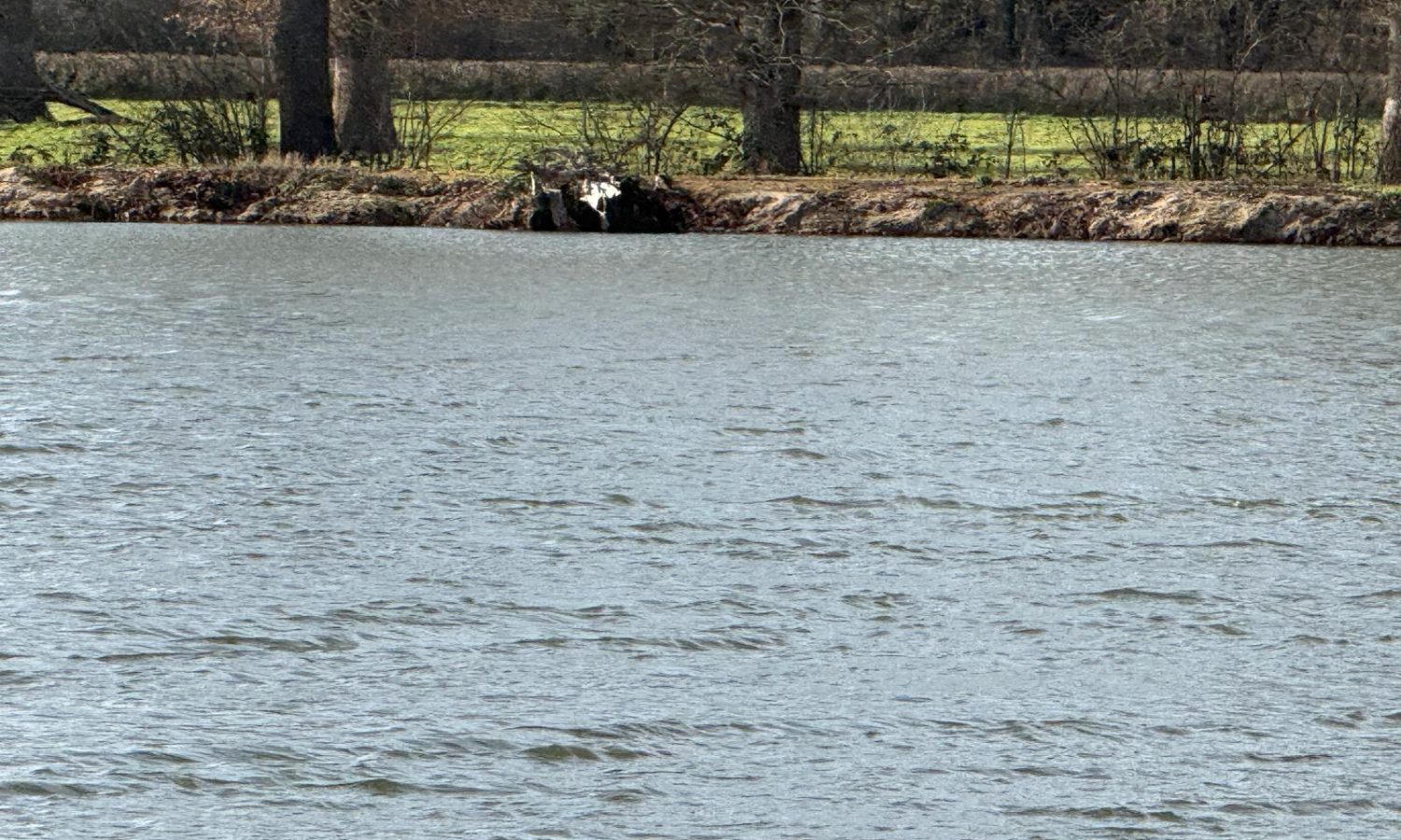 Poste 3 Les Presque'îles Les Etangs du Brionnais Pêche à la Carpe Specimen no kill Saône-et-Loire 71 (7)