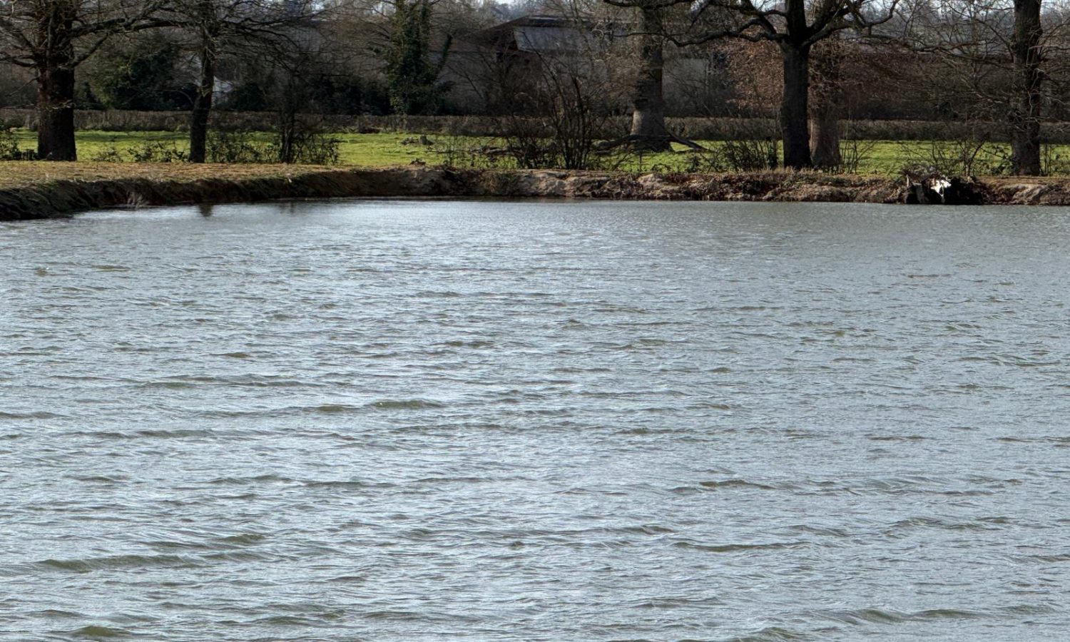 Poste 3 Les Presque'îles Les Etangs du Brionnais Pêche à la Carpe Specimen no kill Saône-et-Loire 71 (8)