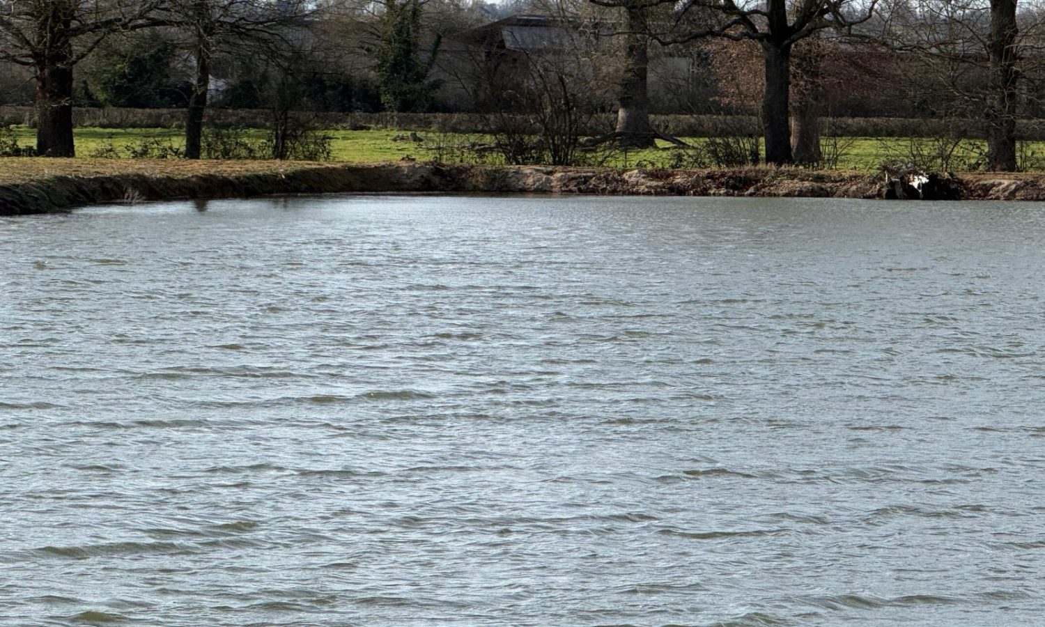 Poste 3 Les Presque'îles Les Etangs du Brionnais Pêche à la Carpe Specimen no kill Saône-et-Loire 71 (8)