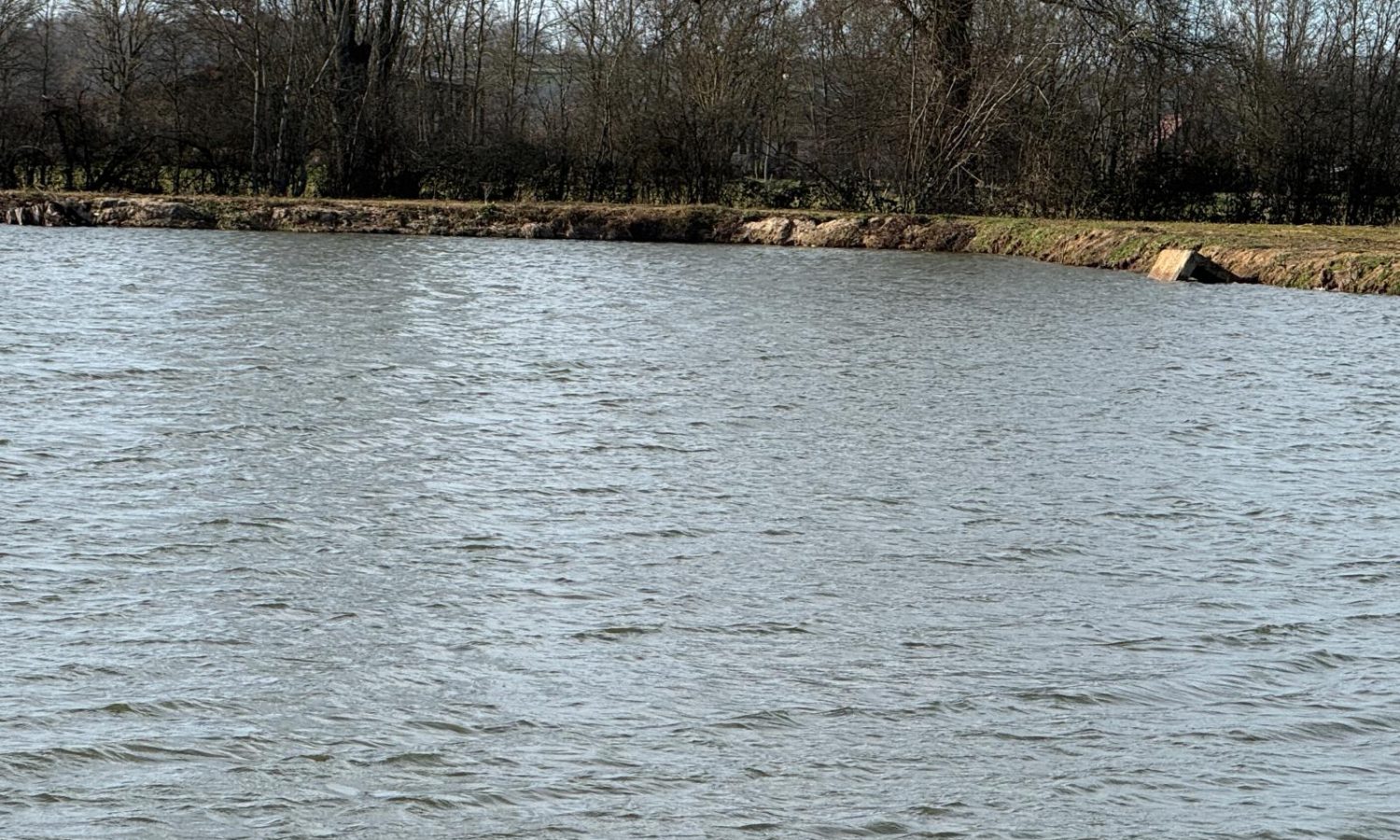Poste 3 Les Presque'îles Les Etangs du Brionnais Pêche à la Carpe Specimen no kill Saône-et-Loire 71 (9)