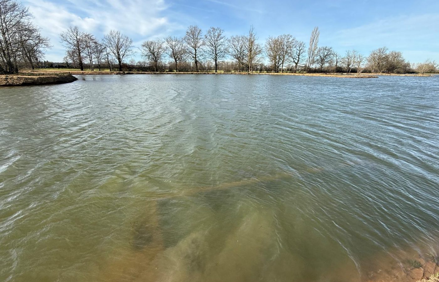 Poste 4 Le Passage Les Etangs du Brionnais Pêche à la Carpe Specimen no kill Saône-et-Loire 71 (10)