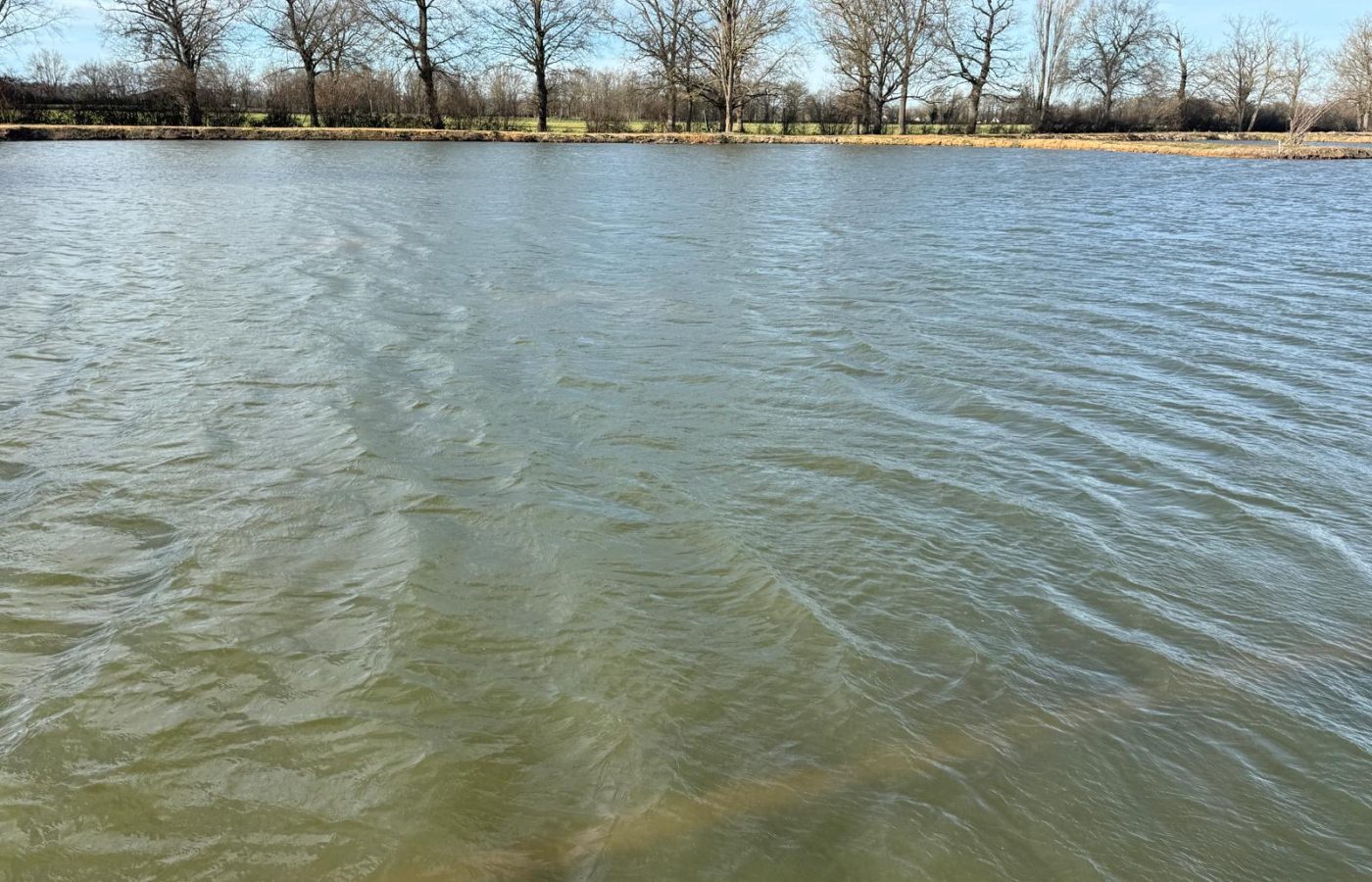 Poste 4 Le Passage Les Etangs du Brionnais Pêche à la Carpe Specimen no kill Saône-et-Loire 71 (12)