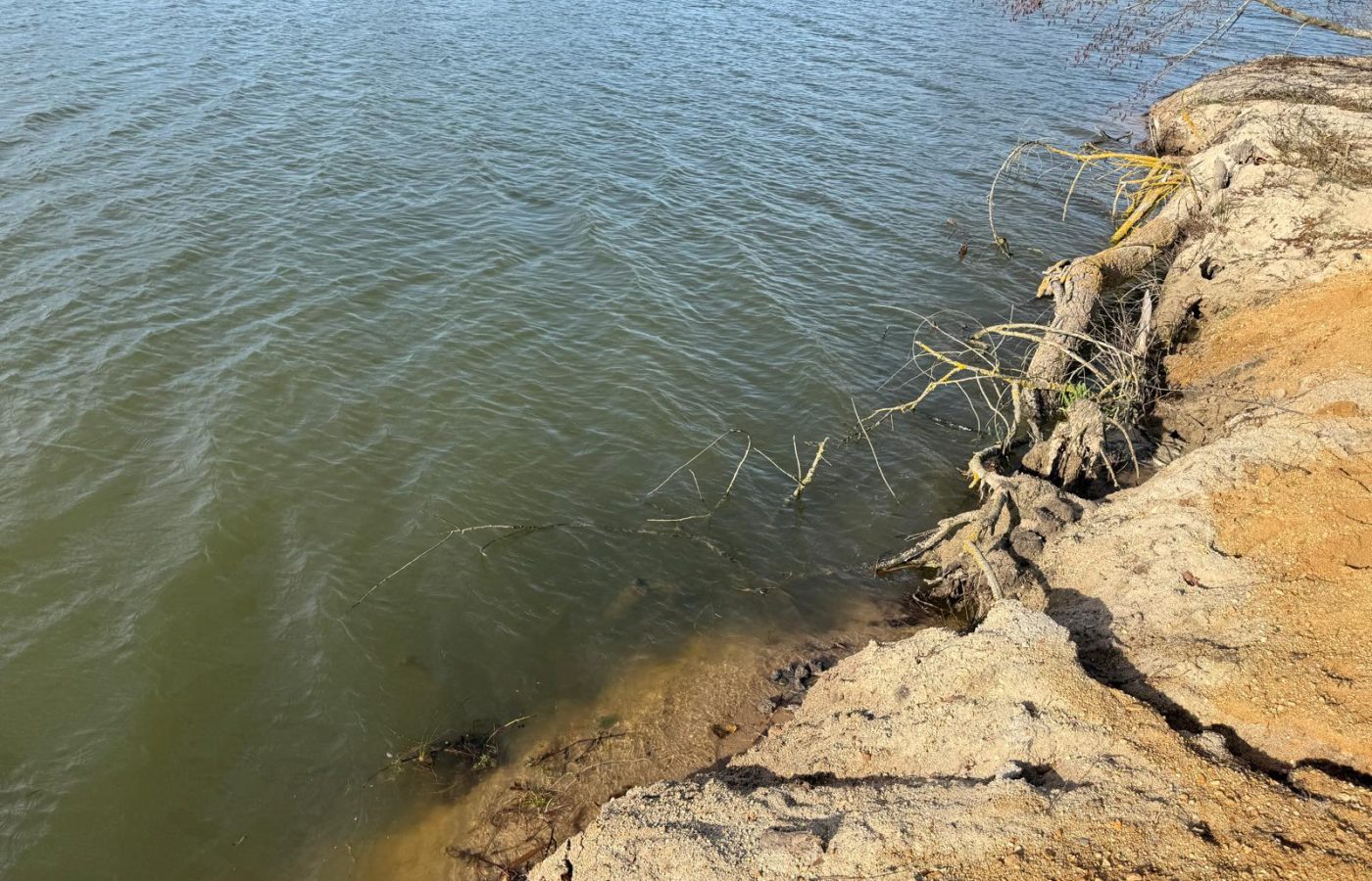 Poste 4 Le Passage Les Etangs du Brionnais Pêche à la Carpe Specimen no kill Saône-et-Loire 71 (3)