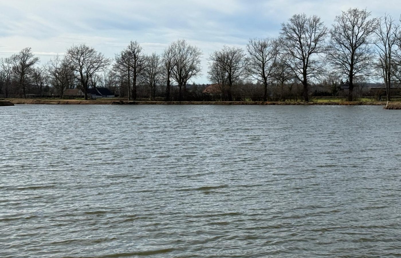 Poste 4 Le Passage Les Etangs du Brionnais Pêche à la Carpe Specimen no kill Saône-et-Loire 71 (4)