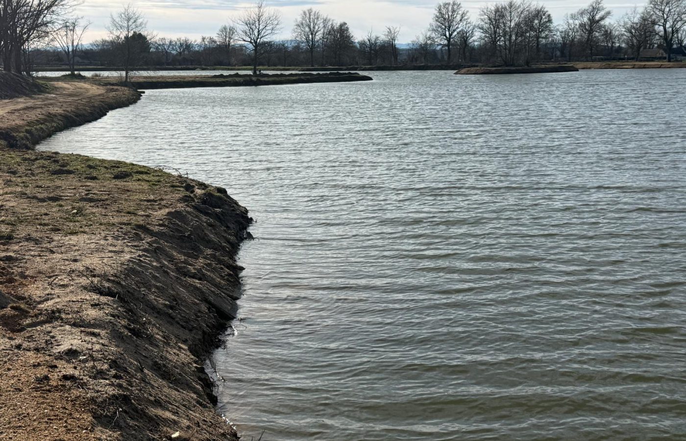 Poste 4 Le Passage Les Etangs du Brionnais Pêche à la Carpe Specimen no kill Saône-et-Loire 71 (5)