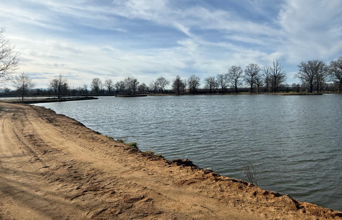Poste 4 Le Passage Les Etangs du Brionnais Pêche à la Carpe Specimen no kill Saône-et-Loire 71 (6)
