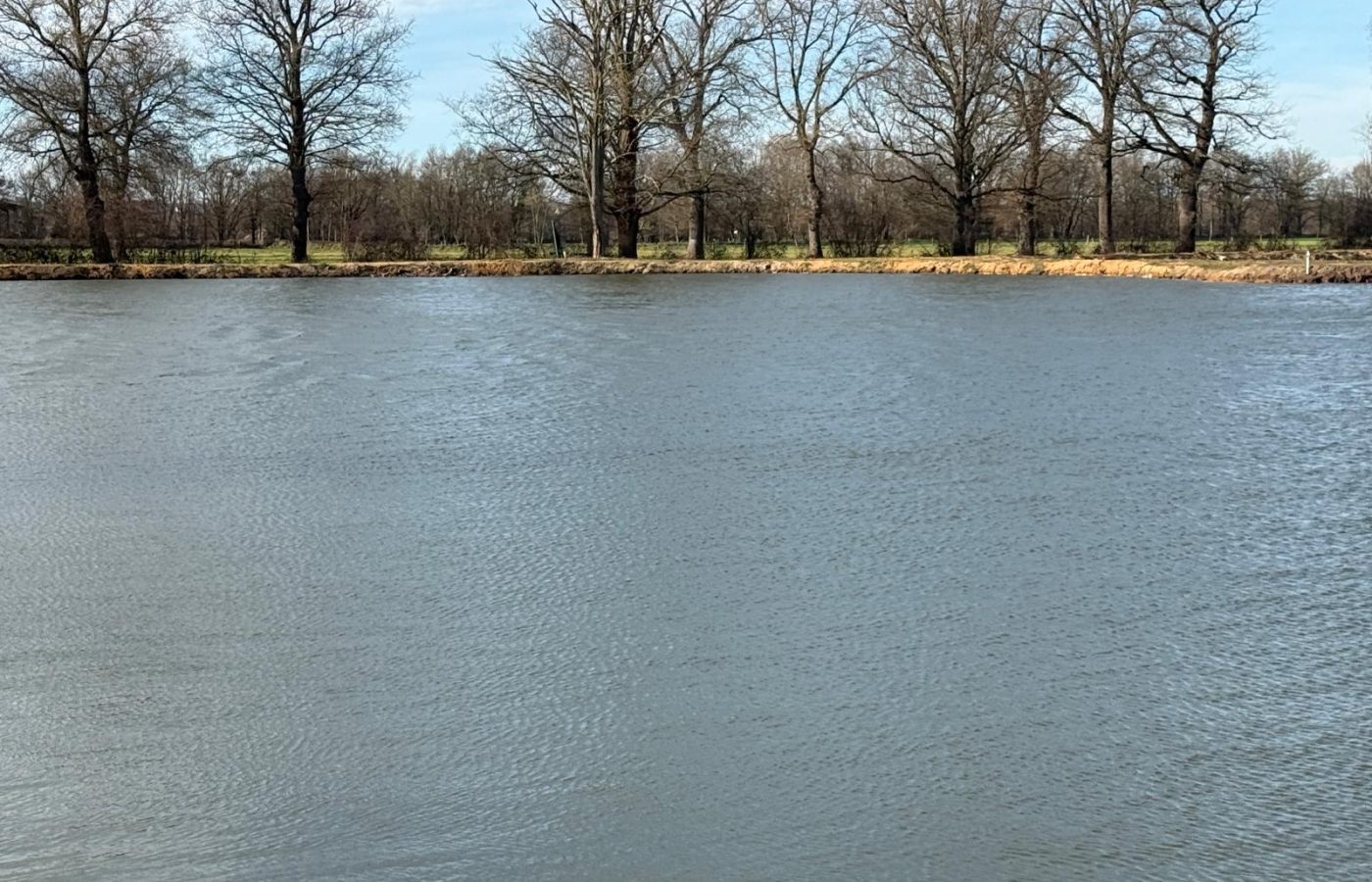 Poste 4 Le Passage Les Etangs du Brionnais Pêche à la Carpe Specimen no kill Saône-et-Loire 71 (9)