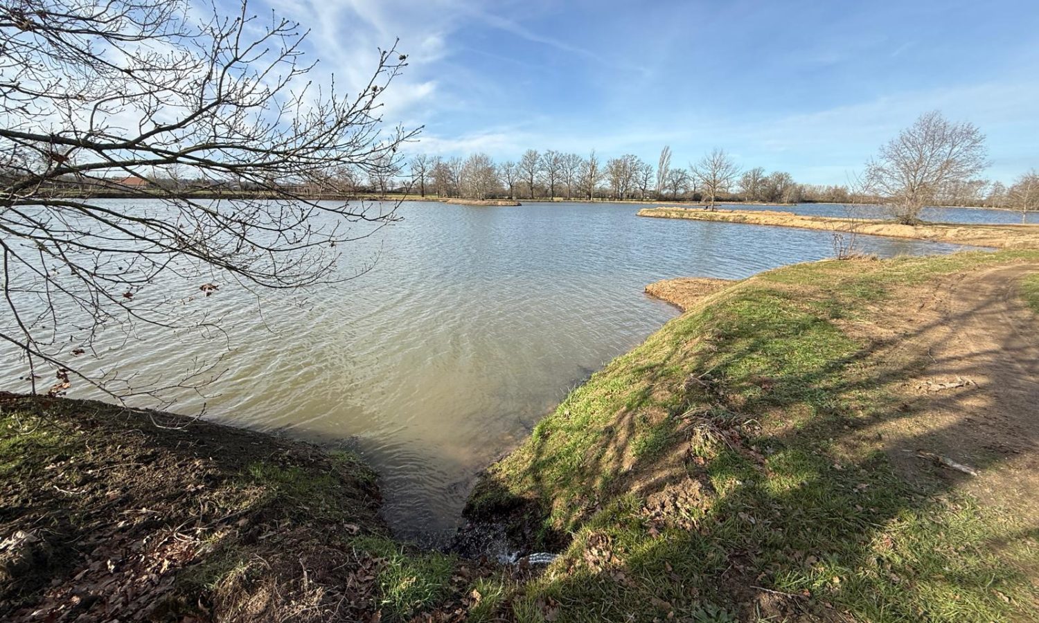 Poste 5 Entre plateau et île Les Etangs du Brionnais Pêche à la Carpe Specimen no kill Saône-et-Loire 71 (1)