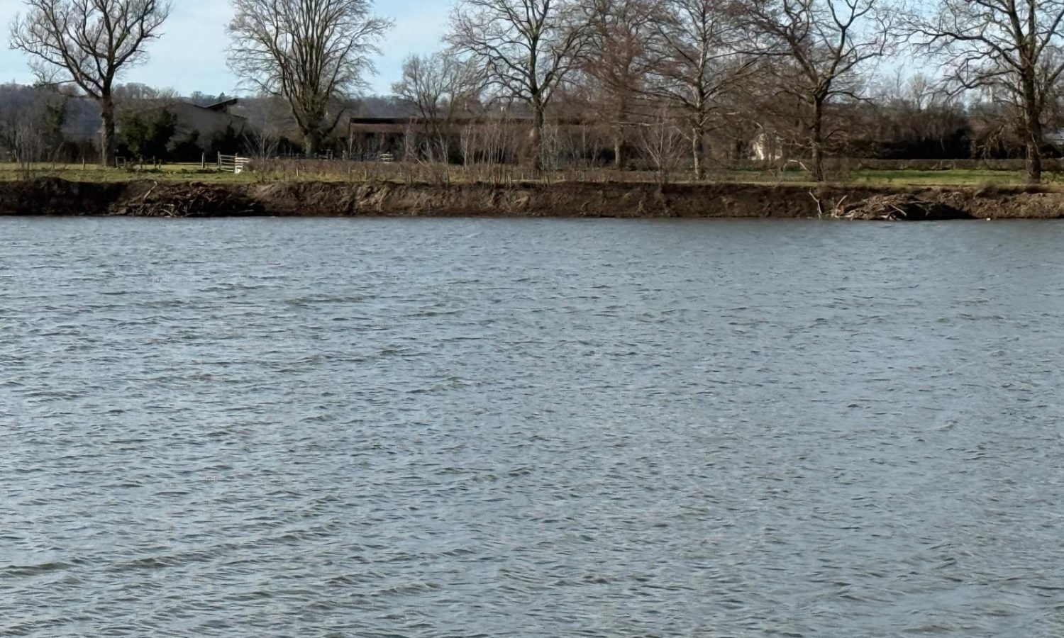 Poste 5 Entre plateau et île Les Etangs du Brionnais Pêche à la Carpe Specimen no kill Saône-et-Loire 71 (2)