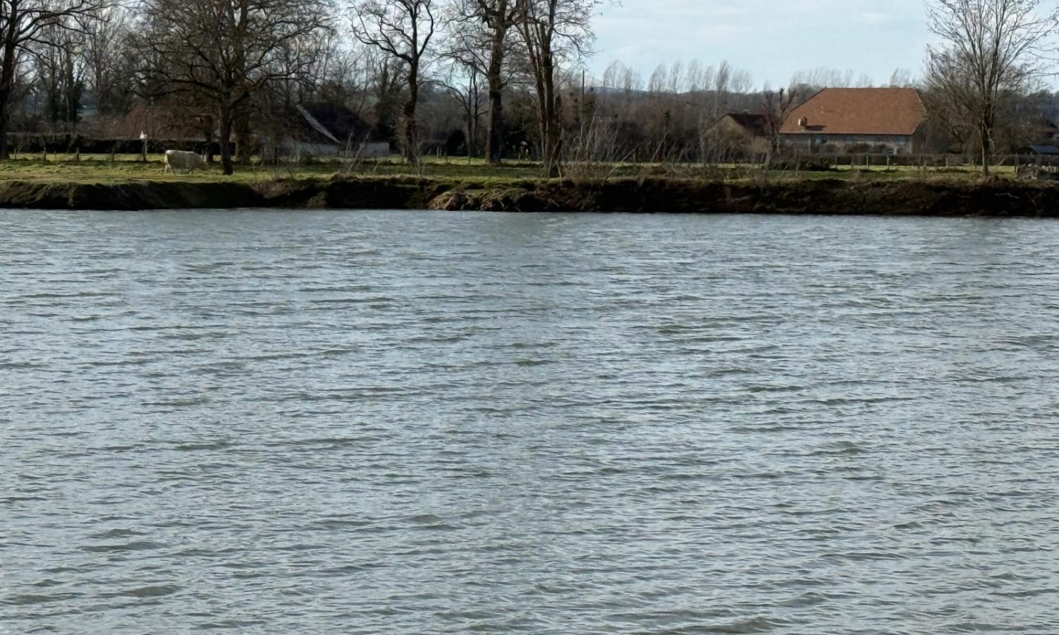 Poste 5 Entre plateau et île Les Etangs du Brionnais Pêche à la Carpe Specimen no kill Saône-et-Loire 71 (3)