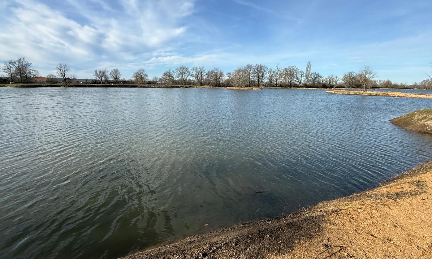 Poste 5 Entre plateau et île Les Etangs du Brionnais Pêche à la Carpe Specimen no kill Saône-et-Loire 71 (4)