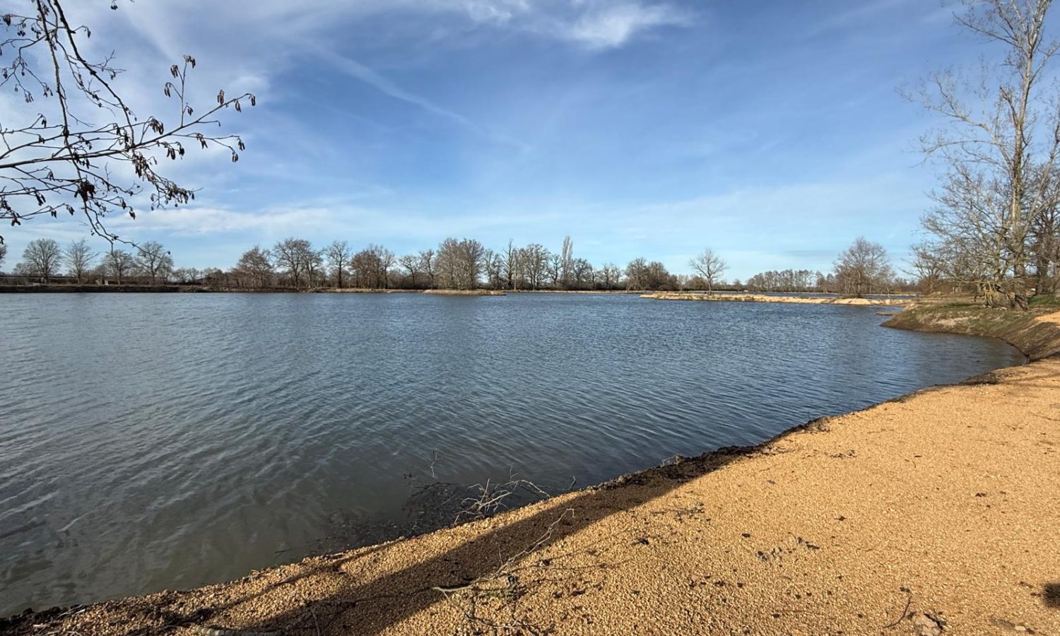 Poste 5 Entre plateau et île Les Etangs du Brionnais Pêche à la Carpe Specimen no kill Saône-et-Loire 71 (5)