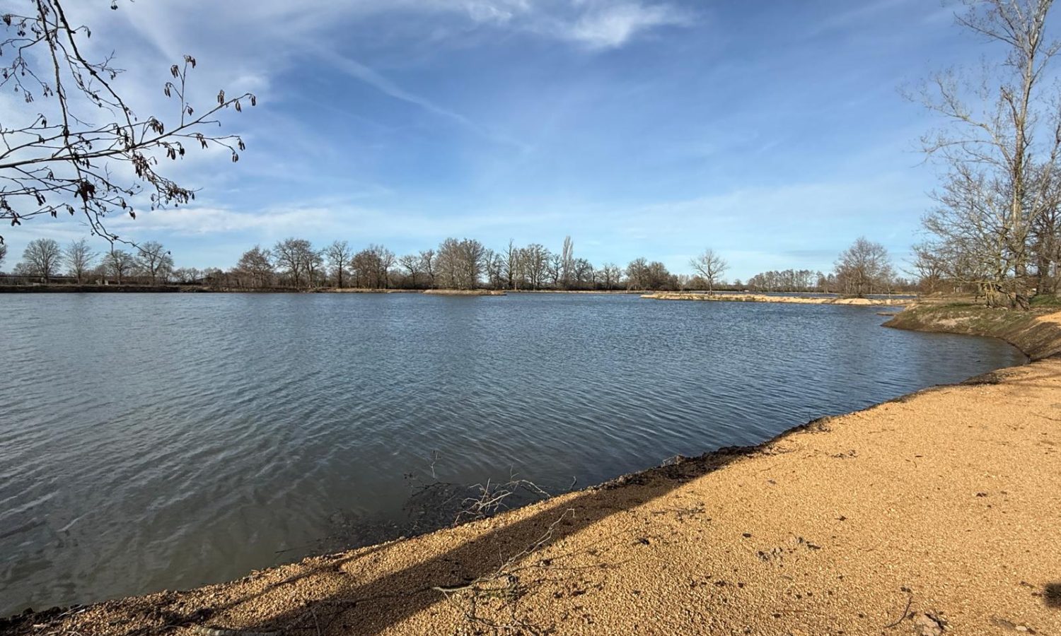 Poste 5 Entre plateau et île Les Etangs du Brionnais Pêche à la Carpe Specimen no kill Saône-et-Loire 71 (5)