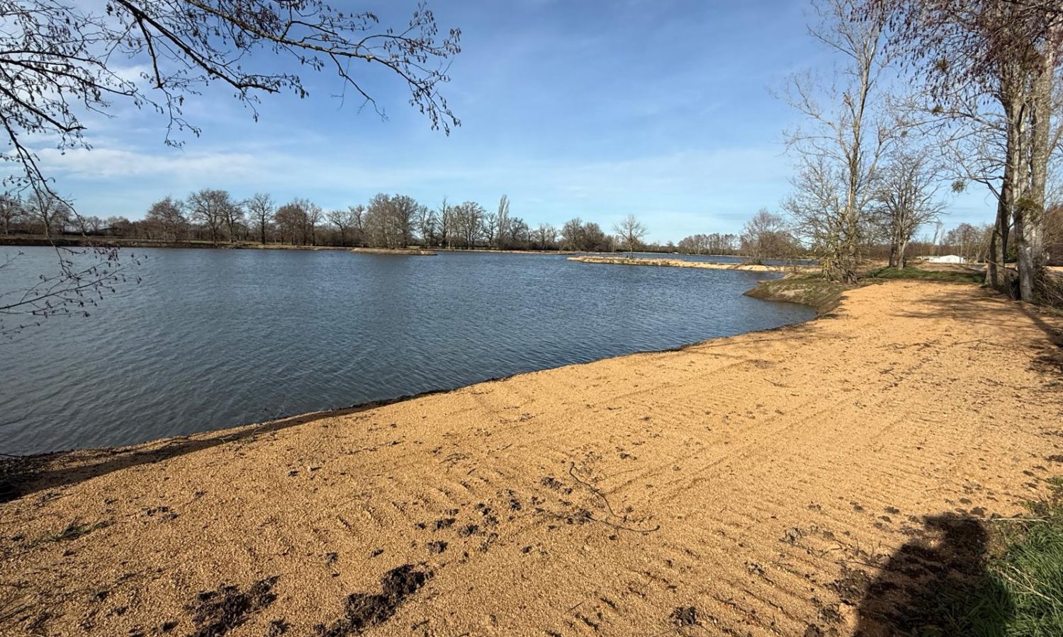 Poste 5 Entre plateau et île Les Etangs du Brionnais Pêche à la Carpe Specimen no kill Saône-et-Loire 71 (6)