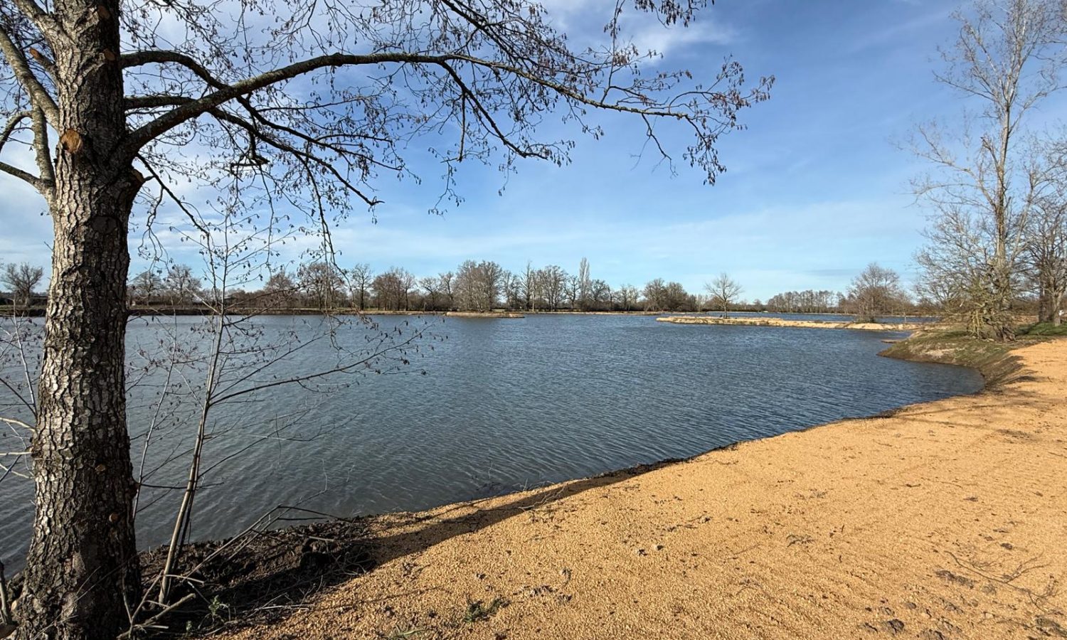 Poste 5 Entre plateau et île Les Etangs du Brionnais Pêche à la Carpe Specimen no kill Saône-et-Loire 71 (7)