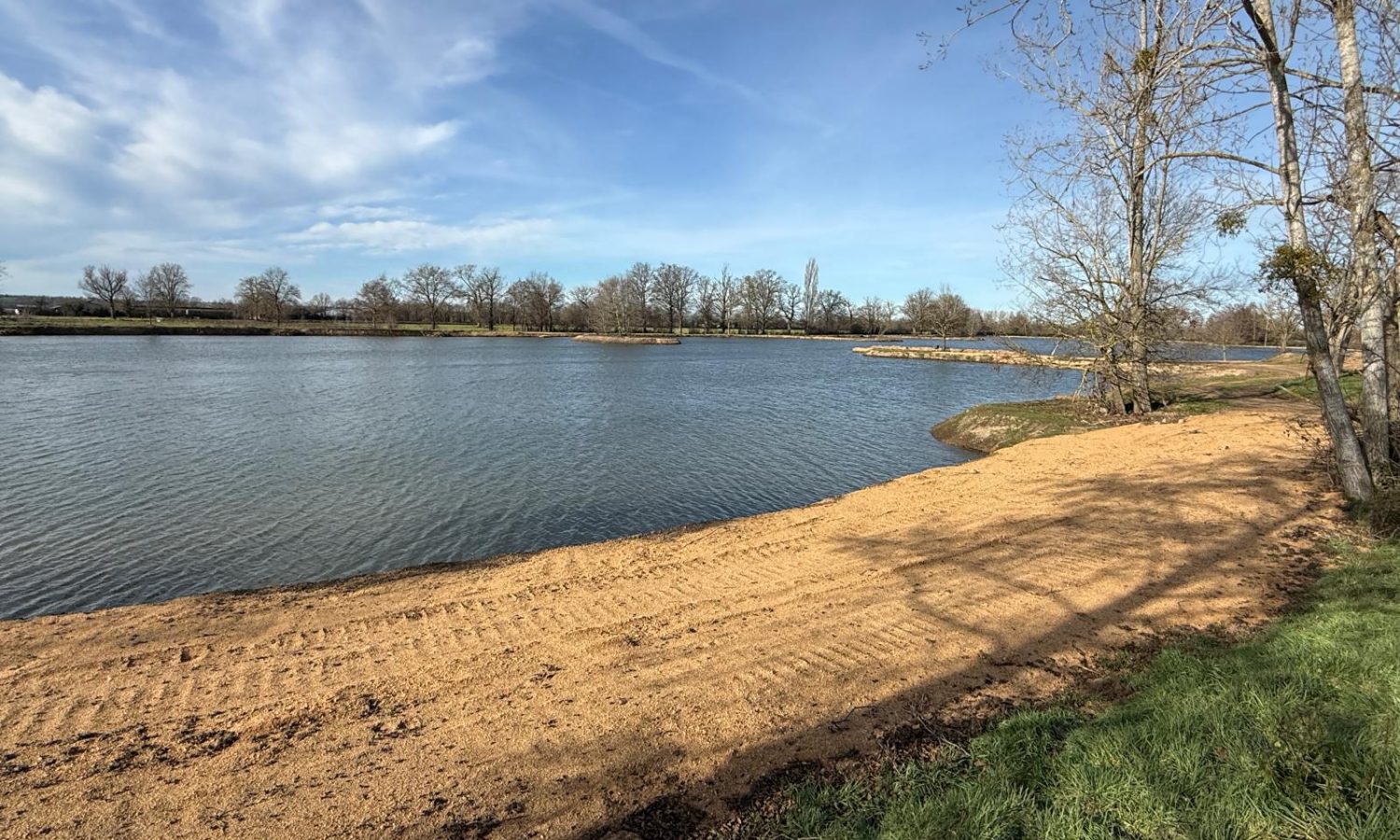 Poste 5 Entre plateau et île Les Etangs du Brionnais Pêche à la Carpe Specimen no kill Saône-et-Loire 71 (8)