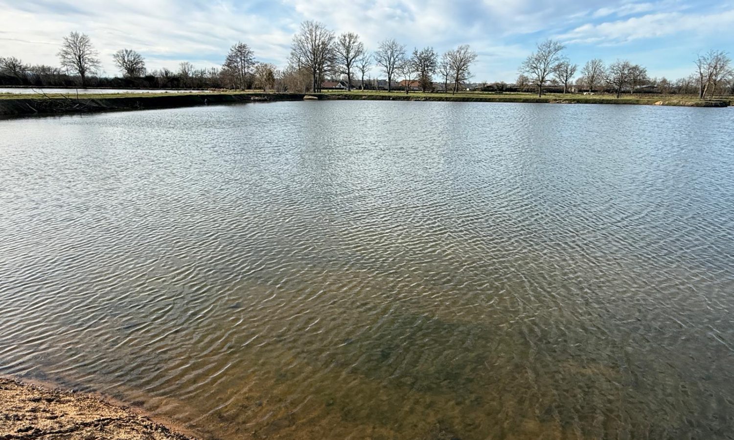 Poste 6 La Queue de l'Etang Les Etangs du Brionnais Pêche à la Carpe Specimen no kill Saône-et-Loire 71 (1)