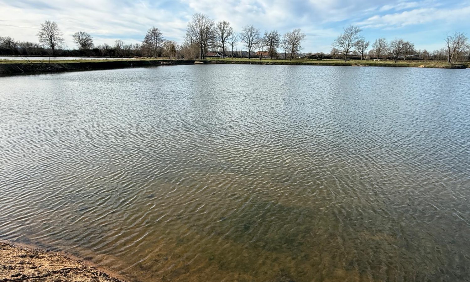 Poste 6 La Queue de l'Etang Les Etangs du Brionnais Pêche à la Carpe Specimen no kill Saône-et-Loire 71 (1)