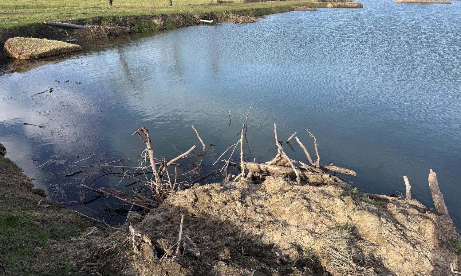 Poste 6 La Queue de l'Etang Les Etangs du Brionnais Pêche à la Carpe Specimen no kill Saône-et-Loire 71 (10)