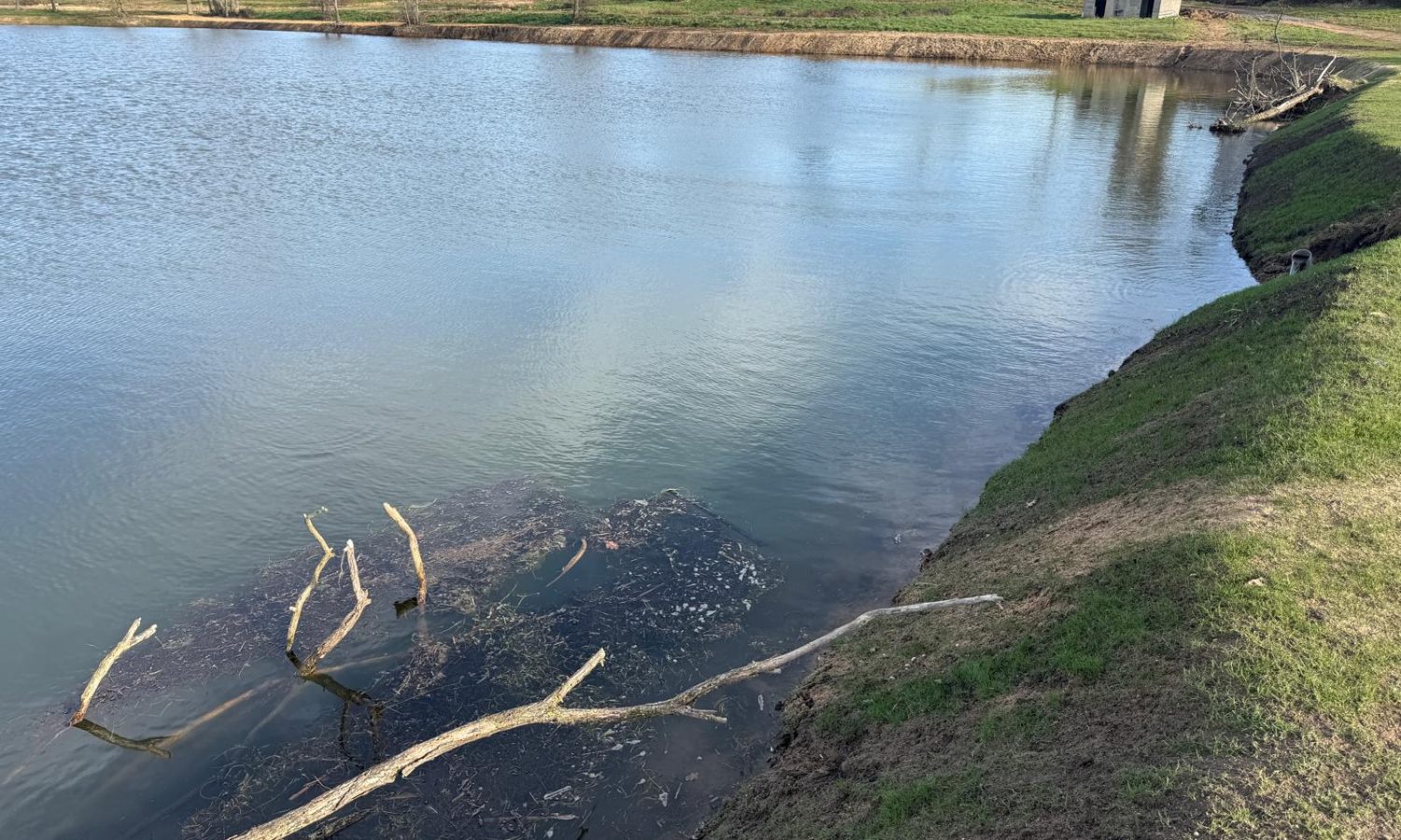 Poste 6 La Queue de l'Etang Les Etangs du Brionnais Pêche à la Carpe Specimen no kill Saône-et-Loire 71 (11)
