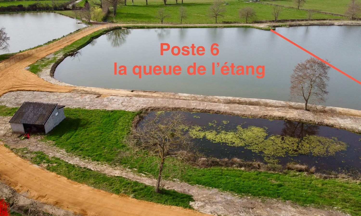 Poste 6 La Queue de l'Etang Les Etangs du Brionnais Pêche à la Carpe Specimen no kill Saône-et-Loire 71 (12)