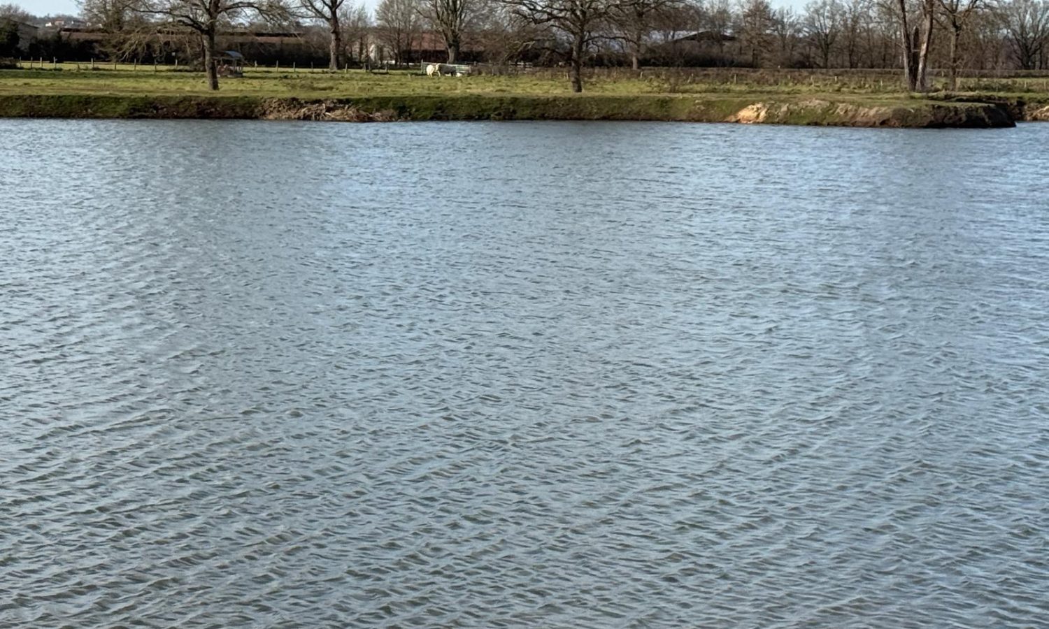 Poste 6 La Queue de l'Etang Les Etangs du Brionnais Pêche à la Carpe Specimen no kill Saône-et-Loire 71 (2)