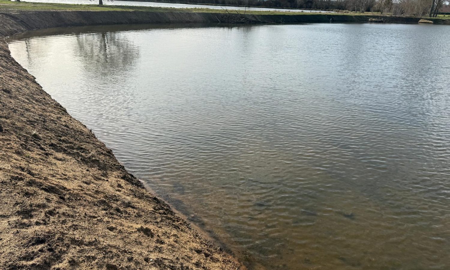 Poste 6 La Queue de l'Etang Les Etangs du Brionnais Pêche à la Carpe Specimen no kill Saône-et-Loire 71 (3)