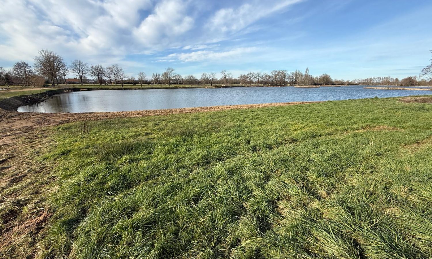 Poste 6 La Queue de l'Etang Les Etangs du Brionnais Pêche à la Carpe Specimen no kill Saône-et-Loire 71 (4)