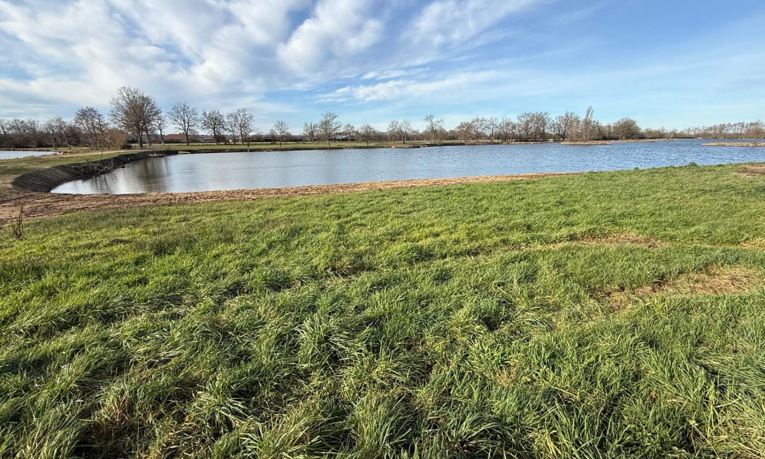 Poste 6 La Queue de l'Etang Les Etangs du Brionnais Pêche à la Carpe Specimen no kill Saône-et-Loire 71 (5)