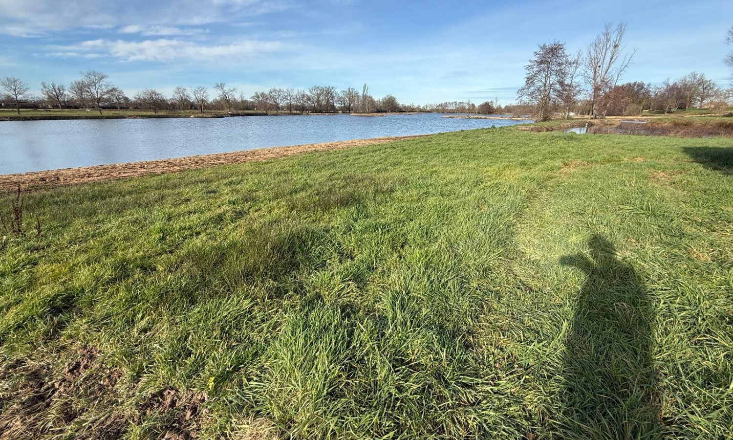 Poste 6 La Queue de l'Etang Les Etangs du Brionnais Pêche à la Carpe Specimen no kill Saône-et-Loire 71 (6)