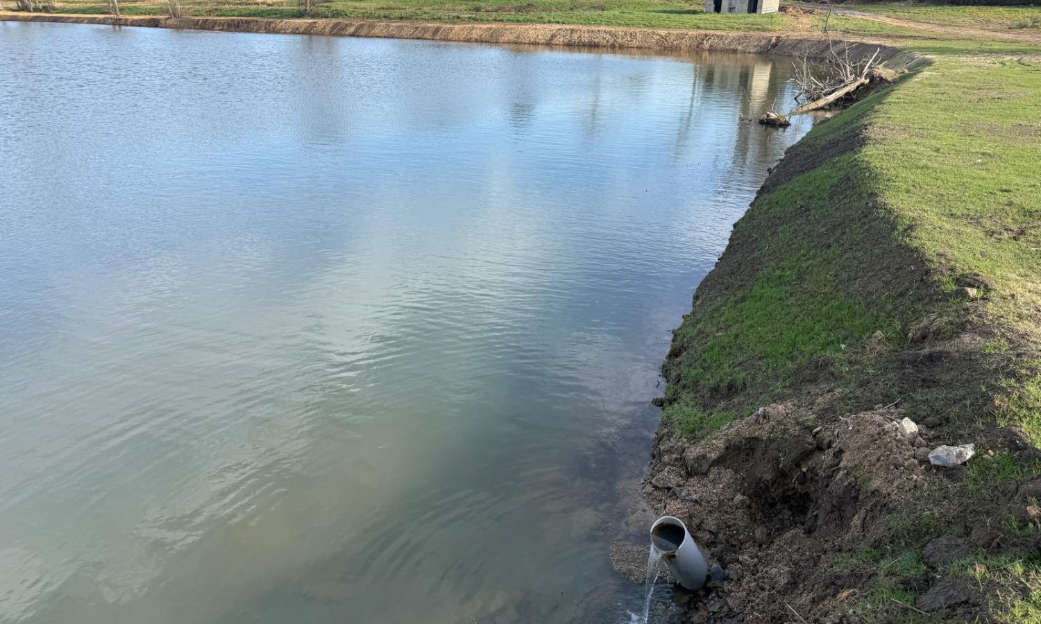 Poste 6 La Queue de l'Etang Les Etangs du Brionnais Pêche à la Carpe Specimen no kill Saône-et-Loire 71 (8)