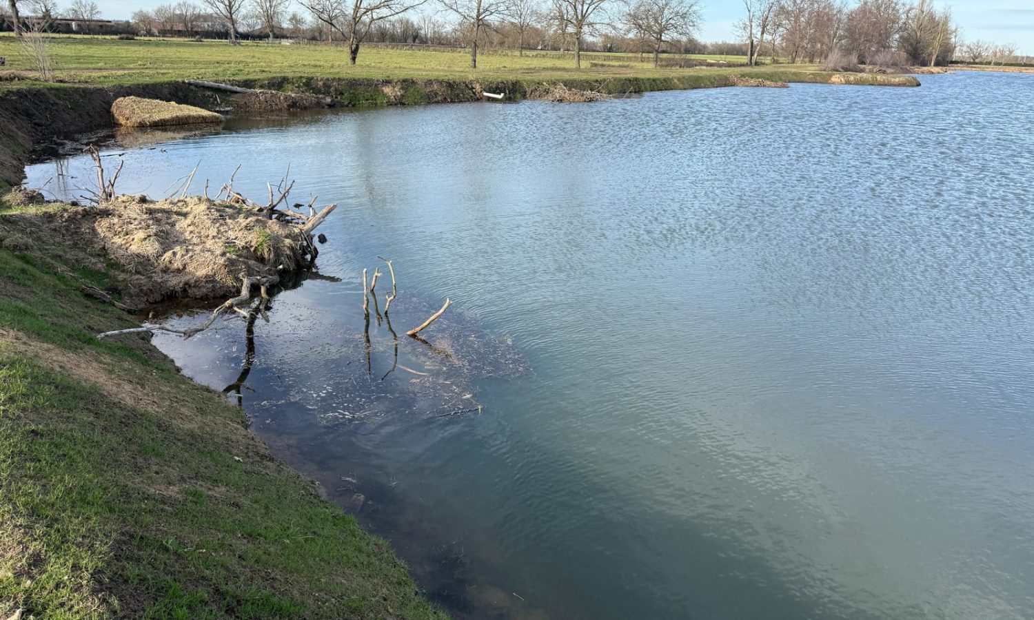Poste 6 La Queue de l'Etang Les Etangs du Brionnais Pêche à la Carpe Specimen no kill Saône-et-Loire 71 (9)